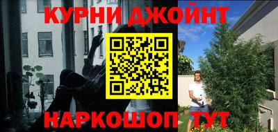 ПСИЛОЦИБИНОВЫЕ ГРИБЫ Нарткала