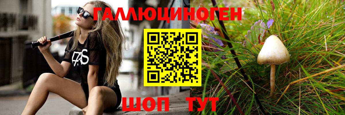 Псилоцибиновые грибы мицелий  Псилоцибиновые грибы прущие грибы  Вход с VPN  Сергиев Посад 